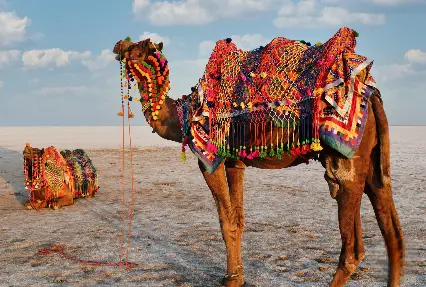 Gujarat-tour-package